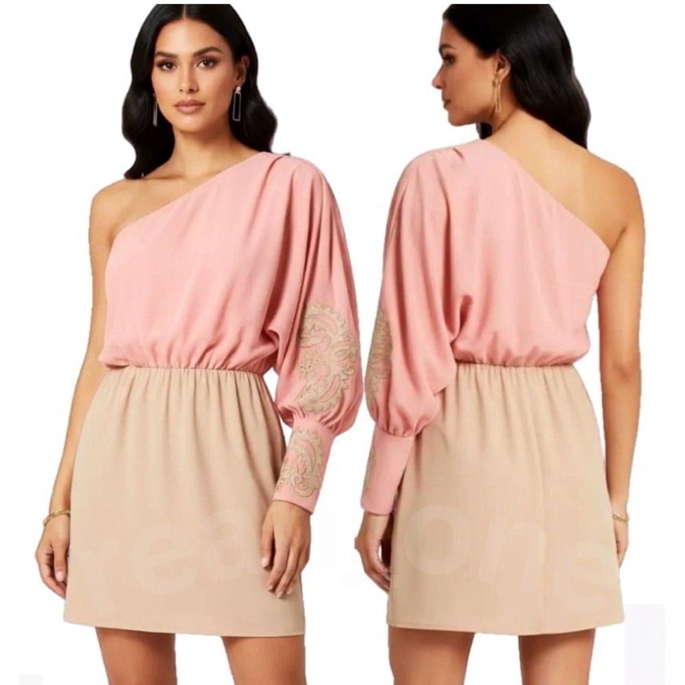 Marineblu Pink/Peach Embroidered One-Shoulder Mini Dress Women's Large